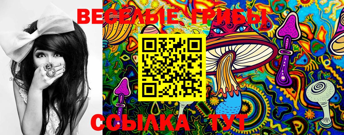 Псилоцибиновые грибы MAGIC MUSHROOMS Кострома