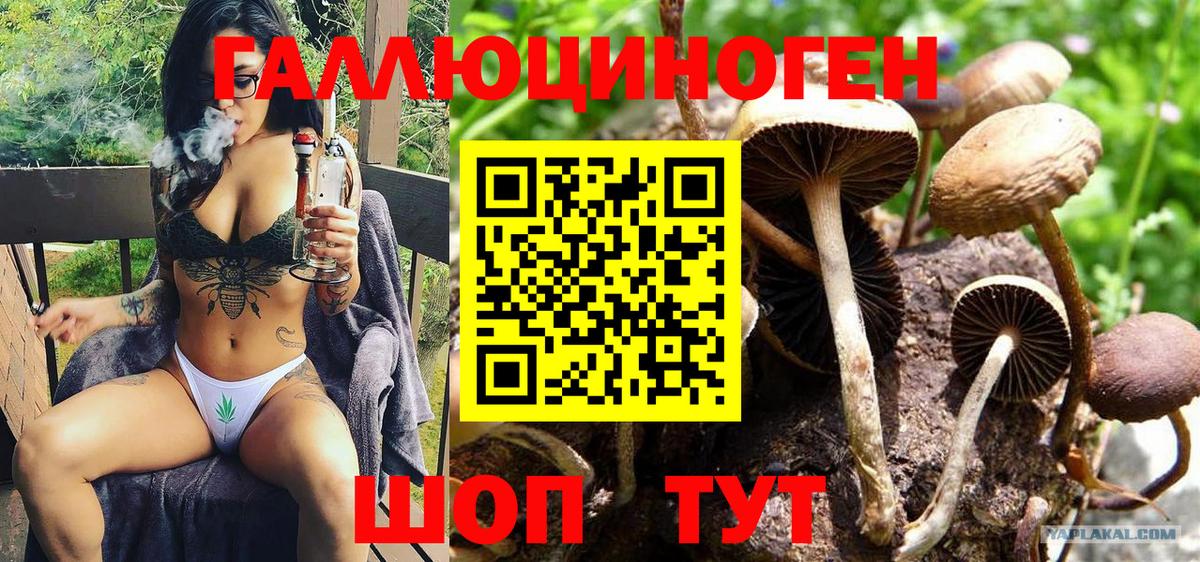 Псилоцибиновые грибы мухоморы  Вход с VPN  Псилоцибиновые грибы Cubensis  Кострома 
